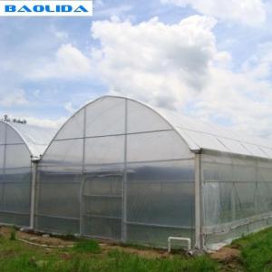 Buy cheap Grape Multi Span Greenhouse With Grape Trellising System To Malaysia from wholesalers