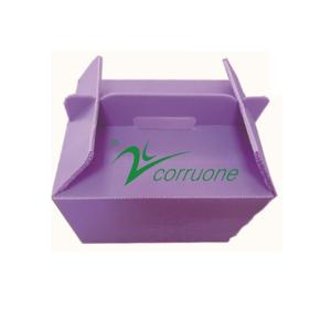 Buy cheap Corruone PP polypropylene correx foldable box Fresh vegetable and fruits pp corrugated plastic sheet box from wholesalers