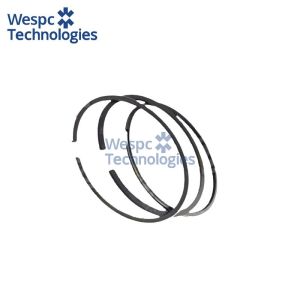 Buy cheap WESPC T412282 piston ring kit for Perkins 1106 series diesel engines from wholesalers
