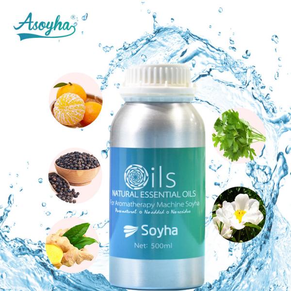 Buy cheap Relaxing Pure Essential Oils / Essential Oils Gift Set Stress Relief from wholesalers