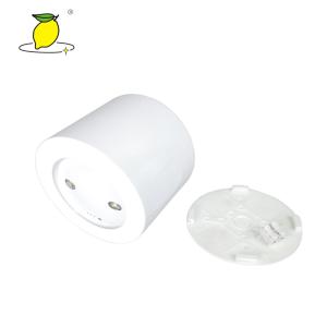 Buy cheap White Surface Mounted 2w Emergency LED Downlight IC Control from wholesalers