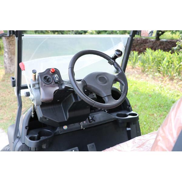 Folding Back Seats Electric Golf Cart 4 Seats CE Approved