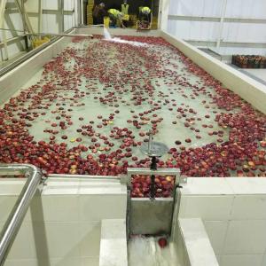 Buy cheap Industrial Apple Processing Line Multi-function Fruit Juice Processing Line With PLC Control System from wholesalers