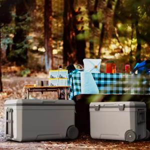 Buy cheap 70L Customizable Outdoor Ice Cooler Box 74x44x43cm from wholesalers