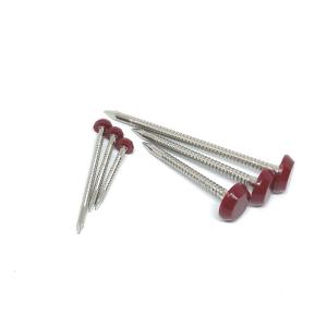 Buy cheap Rustproof Stainless Steel A4 Plastic Head Nails from wholesalers