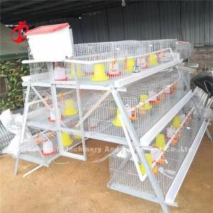 Buy cheap Hightop Chick Brooder Chicken Cage Of Poultry Chicks Ada from wholesalers