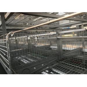 Buy cheap Industrial Automatic Drinker Cup System Nipple Drinking Water Line from wholesalers