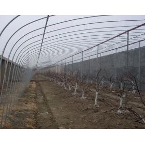 Buy cheap Customized Temperature Control Polytunnel Greenhouses With Solar Energy Cooling System from wholesalers