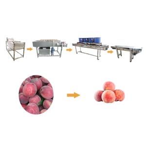 Buy cheap Hot selling Multi-function Vegetable Washer Manual Loading by Huafood from wholesalers