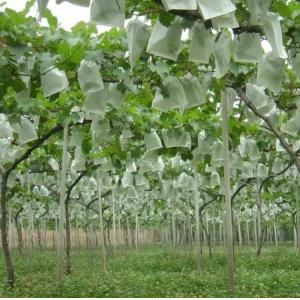 Buy cheap Waterproof Plant Protection Bag To Protect Grapes Vegetable Practical from wholesalers