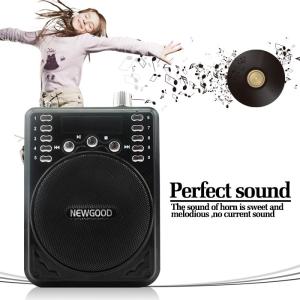 Buy cheap Teachers Coaches Tour Guides Voice Booster Portable Voice Amplifier Loudspeaker U DISK ABS Black NEWGOOD manufacturer from wholesalers