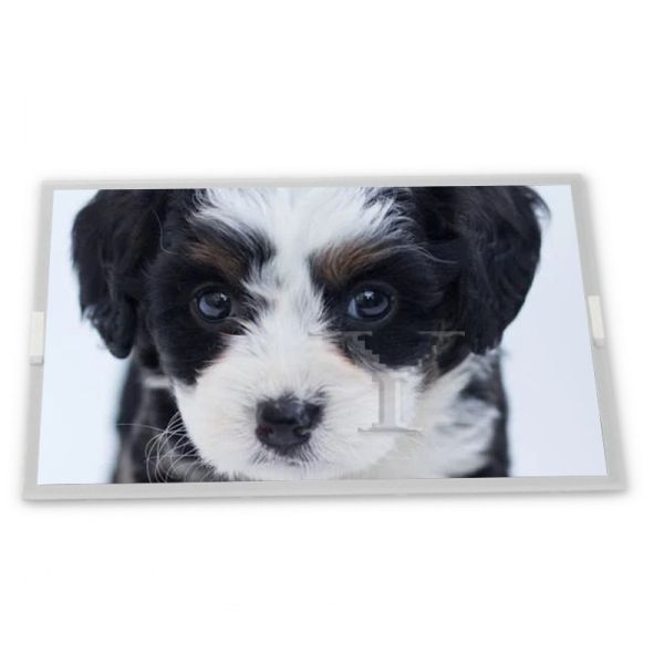 Buy cheap N080ICP-G01 8inch TFT LCD Display Modules supplier lcd panel Rectangular screen supplier lcd panel from wholesalers