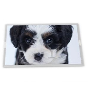 Buy cheap N080ICP-G01 8inch TFT LCD Display Modules supplier lcd panel Rectangular screen supplier lcd panel from wholesalers