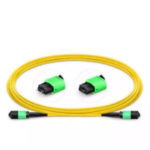 Buy cheap Mpo To Mpo 8 12 24 Fiber Optic Patch Cord Low Insertion from wholesalers