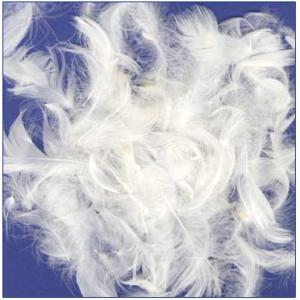 Buy cheap Home TextilesHealthy  Feather and Down Pillows from wholesalers