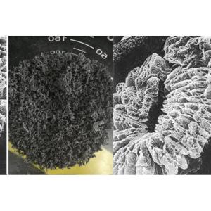 Buy cheap +100 Mesh High Carbon Expanded Graphite product