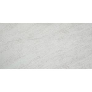 OLK1005G Taj Mahal New Collection Vain To Full Body Printed Quartz Stone Hd