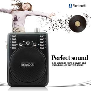 NEWGOOD Bluetooth Voice Amplifier Speaker with Wireless Headset Microphone FM