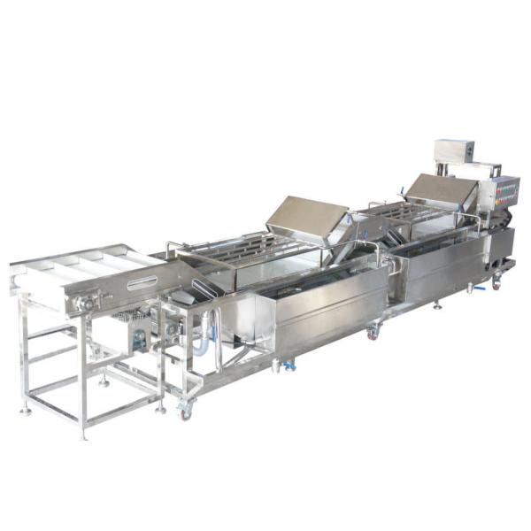 Buy cheap Leek Garlic Vegetable Fruit Washing Machine , Vegetable Washing Equipment from wholesalers