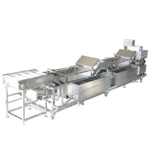 Buy cheap Leek Garlic Vegetable Fruit Washing Machine , Vegetable Washing Equipment from wholesalers