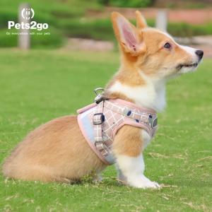 Buy cheap Waterproof Nylon Retractable Dog Lead For Jogging from wholesalers
