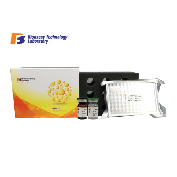 Quality FETU - A Rat ELISA Kit 0.26 Ng / Ml Sensitivity With OEM Service E0580Ra for sale