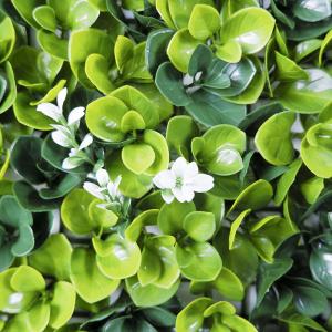 PE Plastic Artificial Plant Synthetic Wall Ornaments 50*50Cm Grass Hedge
