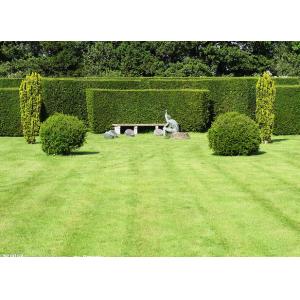 Buy cheap Monolif / Curly PPE Golf Court Landscaping Artificial Grass Synthetic Lawn from wholesalers