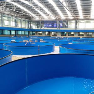 Buy cheap Temperature Controllable High Density Recirculated Aquaculture System RAS product