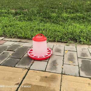 Buy cheap Innovative Freestanding Chicken Feed Dispenser With Cylinder Technology from wholesalers