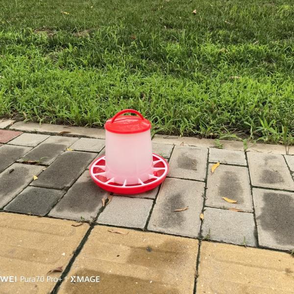 Quality Innovative Freestanding Chicken Feed Dispenser With Cylinder Technology for sale