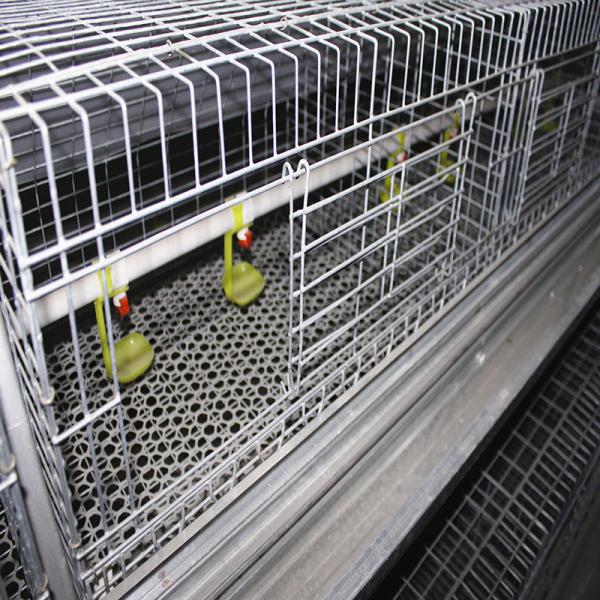 Quality Farming Coop Broiler Chicken Cage Animal Husbandry Equipment for sale