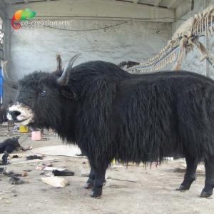Customized Lifelike Animatronics Robotic Animal Wild Yak Replications For