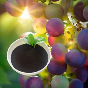 Buy cheap Ph7-9 Organic Fertilizer Amino Acid Powder Water Soluble Chelated Iron O-O 4.8 product