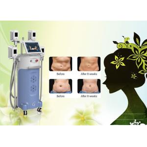 Buy cheap 4  big handles Great weight loss-15 ~5Celsuis degree machine cryolipolysis from wholesalers