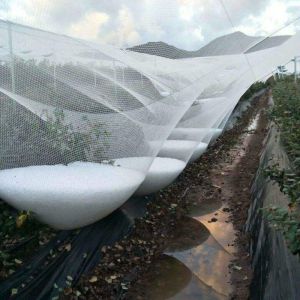 Buy cheap Anti Hail Net Agriculture Mesh HDPE Apple Tree Garden Hail Proof Netting Polyethylene Cheap Price Hail Guard Net Car Hail Protection Net Anti-Insect Hail Netting for Agricultural Apple Trees from wholesalers