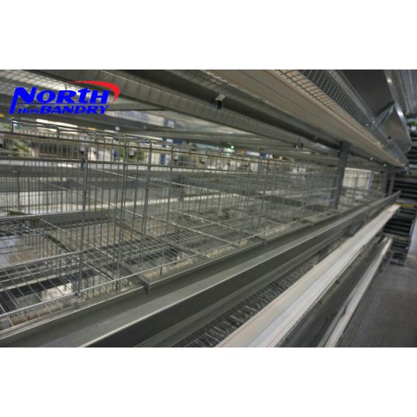 Buy cheap High quality layer poultry cages for nigeria/africa from wholesalers