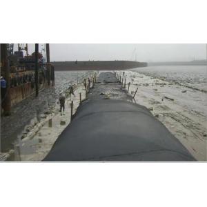 Polyester Wastewater Sludge Dewatering Bags Coastal Protection