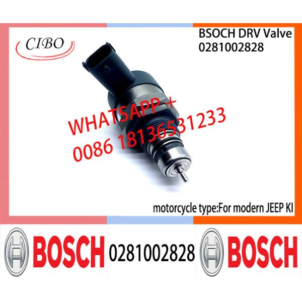 BOSCH DRV Valve 0281002828 Control Valve 0281002828 For modern JEEP KI