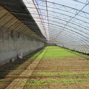 Buy cheap Automatic Air Circulation Solar Passive Greenhouses Customized from wholesalers