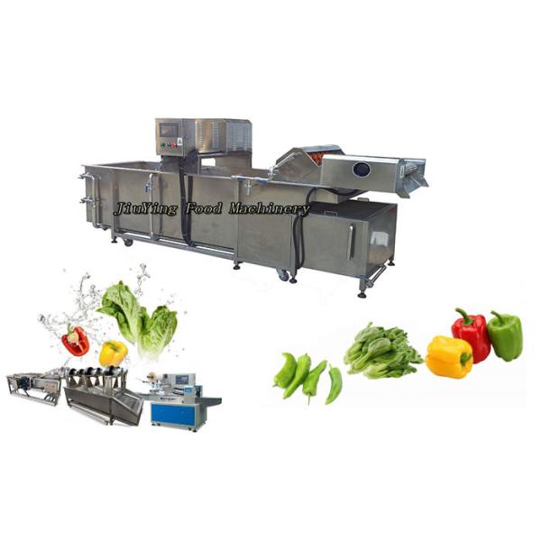 Air Bubble Salmon Fish Seafood Cleaning Processing Machine Automatic Water