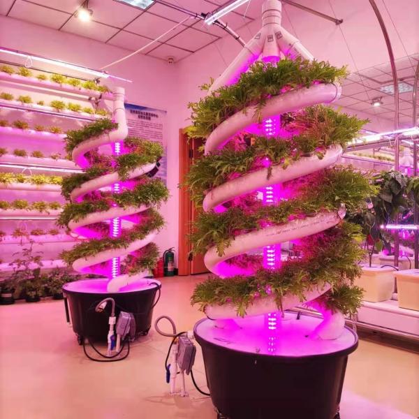 Buy cheap Double Helix Hydroponic Indoor Garden Vertical Hydroponics Growing System from wholesalers