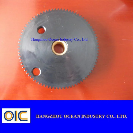 Quality Standard and Special Spur Gear for sale