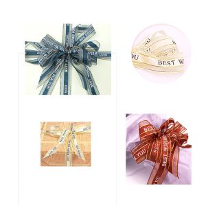 Factory Solid Color Gift Packing Organza Silk Ribbon With Printed Logo