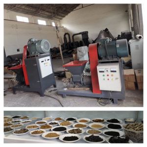 50mm Biomass Briquettes Manufacturing Machine 500kg/H Sugarcane Bagasse
