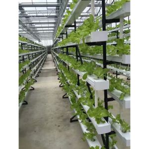 Buy cheap NFT DFT Garden Vertical Hydroponic Grow Tower System Agricultural from wholesalers
