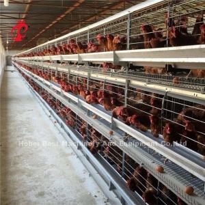 Buy cheap China Nigeria Factory Layer Broiler Poultry Chicken Rearing Cage For Sale Ada product