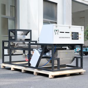 Buy cheap Wenyao Belt Type Camera Color Separator Walnut Processing Machine Nut Color Sorting Machine product