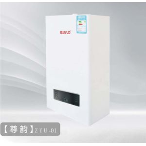 Buy cheap Environmental Health Gas Wall Hung Boiler Small Body Wall Mounted Condensing Boiler from wholesalers