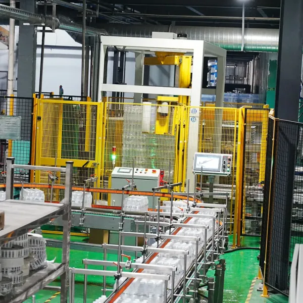 Automatic Gantry Palletizer Water Bottle Case Box Carton Palletizer